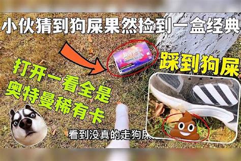 踩到狗大便運氣|狗屎運背後的秘密